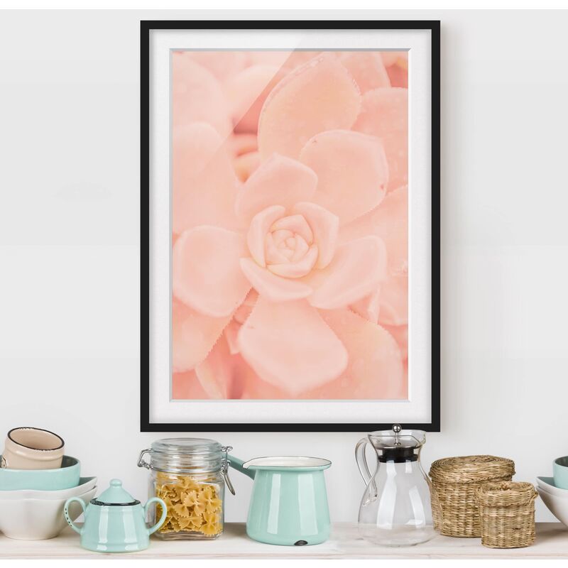 Póster enmarcado - Pink Flower Magic Echeveria Dimensión LxA: 55cm x 40cm, Marco: Negro
Póster enmarcado - Pink Flower Magic Echeveria Dimensión LxA: 55cm x 40cm, Marco: Negro