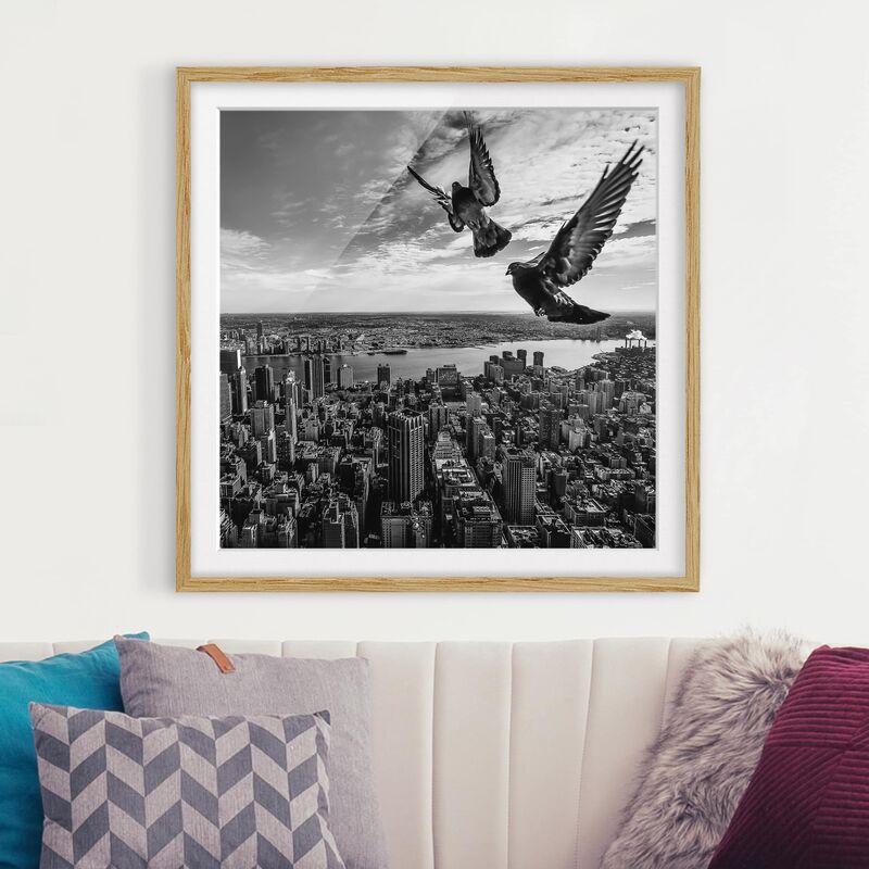 Póster enmarcado - Pigeons On The Empire State Building Dimensión LxA: 30cm x 30cm, Marco: Roble
Póster enmarcado - Pigeons On The Empire State Building Dimensión LxA: 30cm x 30cm, Marco: Roble