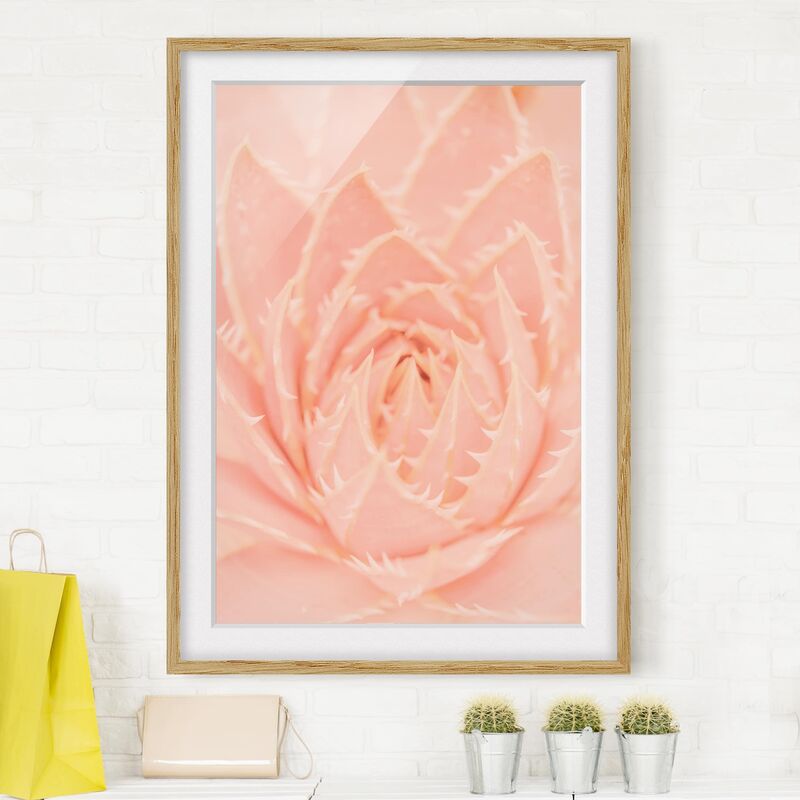Póster enmarcado - Pink Flower Magic Agave Dimensión LxA: 24cm x 18cm, Marco: Roble
Póster enmarcado - Pink Flower Magic Agave Dimensión LxA: 24cm x 18cm, Marco: Roble
