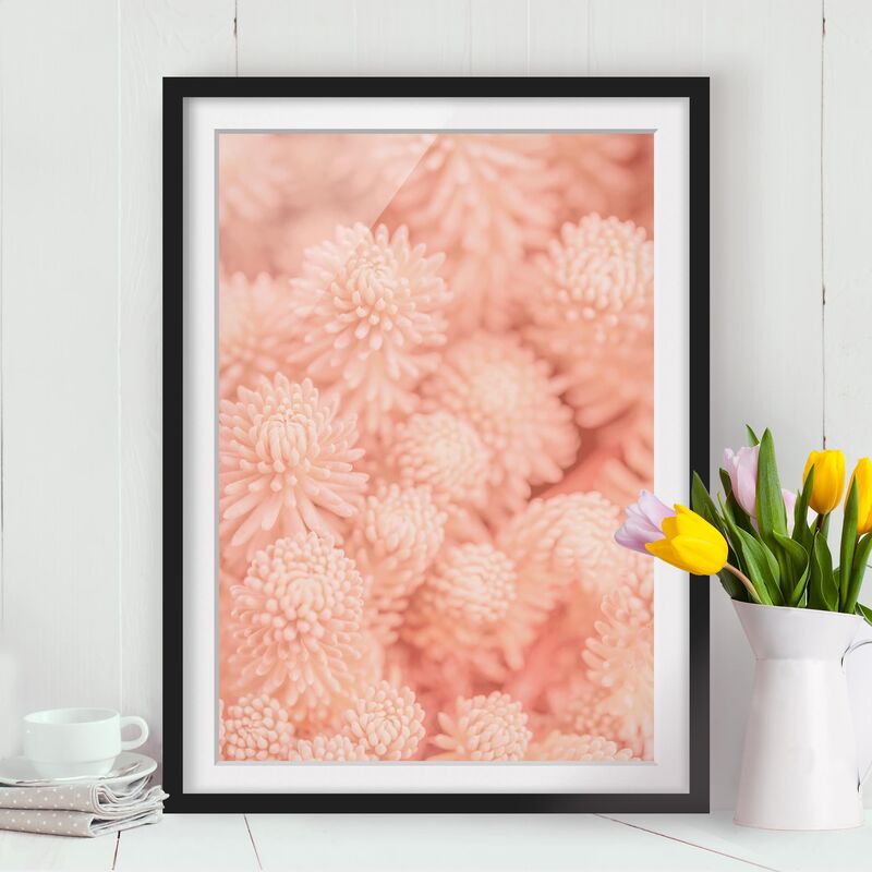 Póster enmarcado - Pink Flowers Sedum Magic Dimensión LxA: 40cm x 30cm, Marco: Negro
Póster enmarcado - Pink Flowers Sedum Magic Dimensión LxA: 40cm x 30cm, Marco: Negro