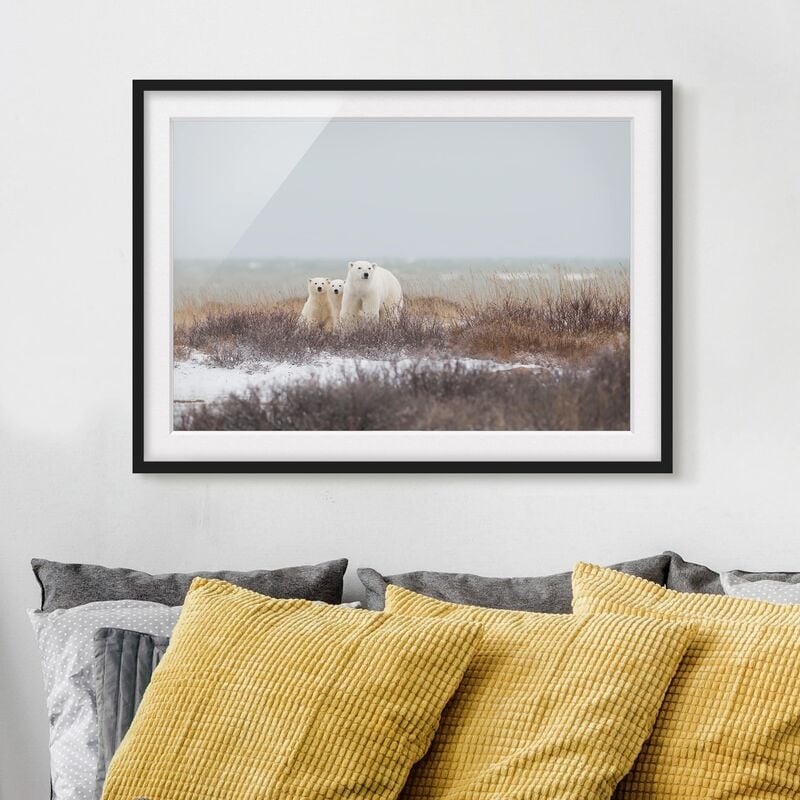 Póster enmarcado - Orso polare e suoi cuccioli Dimensión LxA: 50cm x 70cm, Marco: Negro
Póster enmarcado - Orso polare e suoi cuccioli Dimensión LxA: 50cm x 70cm, Marco: Negro