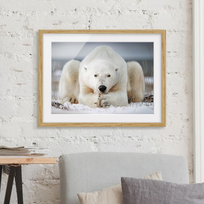 Póster enmarcado - Orso polare Pensieroso Dimensión LxA: 70cm x 100cm, Marco: Roble
Póster enmarcado - Orso polare Pensieroso Dimensión LxA: 70cm x 100cm, Marco: Roble