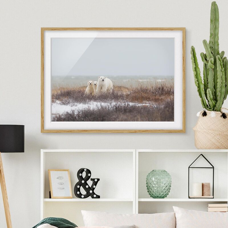 Póster enmarcado - Orso polare e suoi cuccioli Dimensión LxA: 18cm x 24cm, Marco: Roble
Póster enmarcado - Orso polare e suoi cuccioli Dimensión LxA: 18cm x 24cm, Marco: Roble