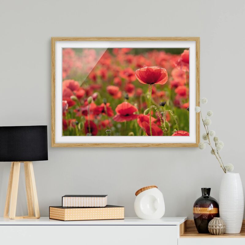 Póster enmarcado - Poppy Field In Sunlight Dimensión LxA: 30cm x 40cm, Marco: Roble
Póster enmarcado - Poppy Field In Sunlight Dimensión LxA: 30cm x 40cm, Marco: Roble