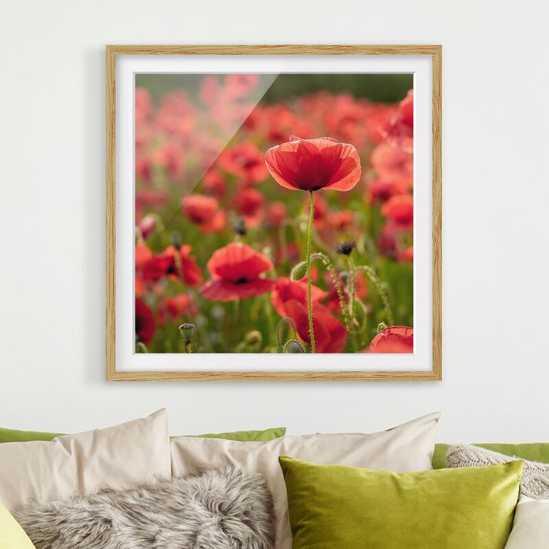 Póster enmarcado - Poppy Field In Sunlight Dimensión LxA: 70cm x 70cm, Marco: Roble
Póster enmarcado - Poppy Field In Sunlight Dimensión LxA: 70cm x 70cm, Marco: Roble