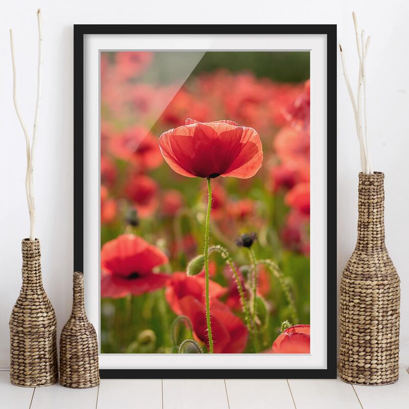 Póster enmarcado - Poppy Field In Sunlight Dimensión LxA: 70cm x 50cm, Marco: Negro
Póster enmarcado - Poppy Field In Sunlight Dimensión LxA: 70cm x 50cm, Marco: Negro