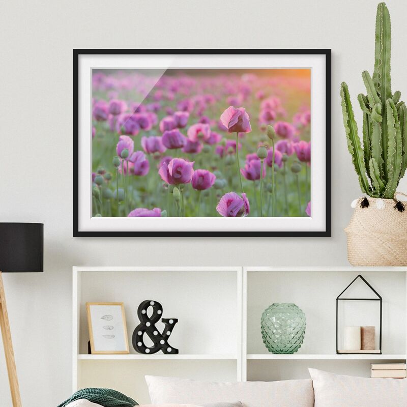 Póster enmarcado - Purple Poppy Flower Meadow In Spring Dimensión LxA: 18cm x 24cm, Marco: Negro
Póster enmarcado - Purple Poppy Flower Meadow In Spring Dimensión LxA: 18cm x 24cm, Marco: Negro
