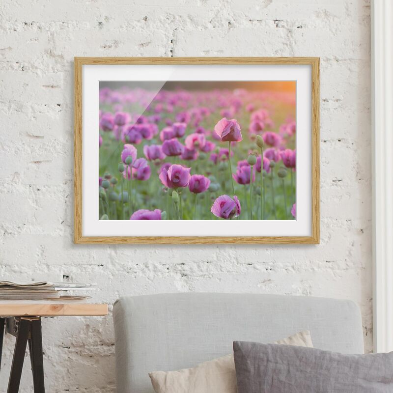 Póster enmarcado - Purple Poppy Flower Meadow In Spring Dimensión LxA: 40cm x 55cm, Marco: Roble
Póster enmarcado - Purple Poppy Flower Meadow In Spring Dimensión LxA: 40cm x 55cm, Marco: Roble