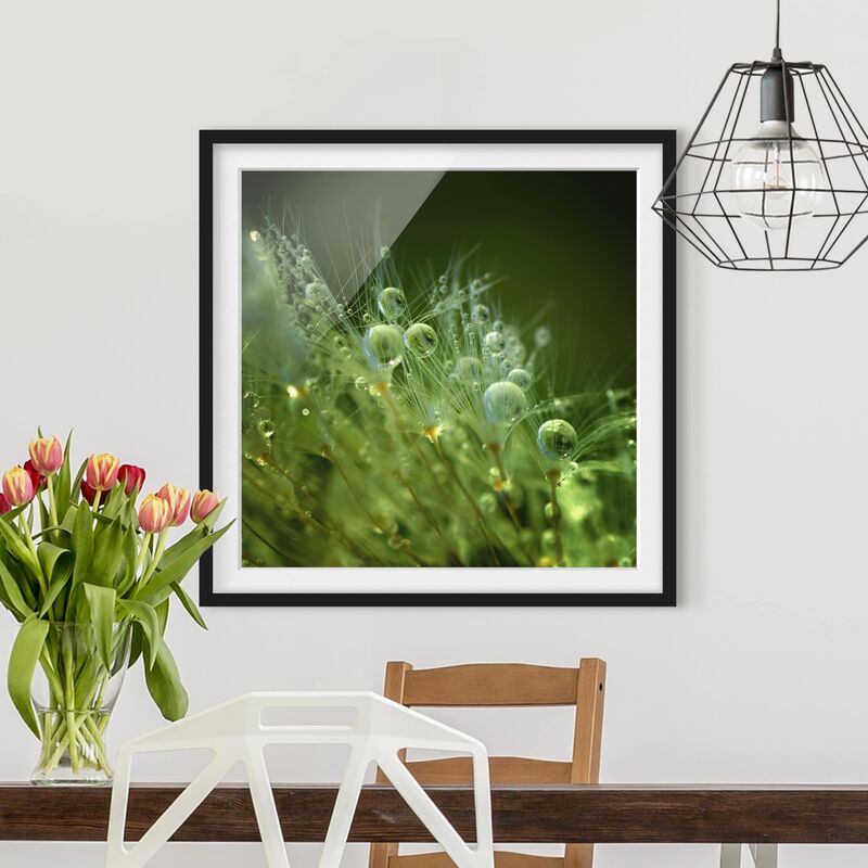 Póster enmarcado - Semi verdi Sotto La Pioggia Dimensión LxA: 70cm x 70cm, Marco: Negro
Póster enmarcado - Semi verdi Sotto La Pioggia Dimensión LxA: 70cm x 70cm, Marco: Negro