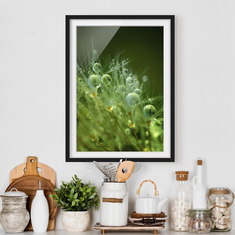 Póster enmarcado - Semi verdi Sotto La Pioggia Dimensión LxA: 100cm x 70cm, Marco: Negro
Póster enmarcado - Semi verdi Sotto La Pioggia Dimensión LxA: 100cm x 70cm, Marco: Negro