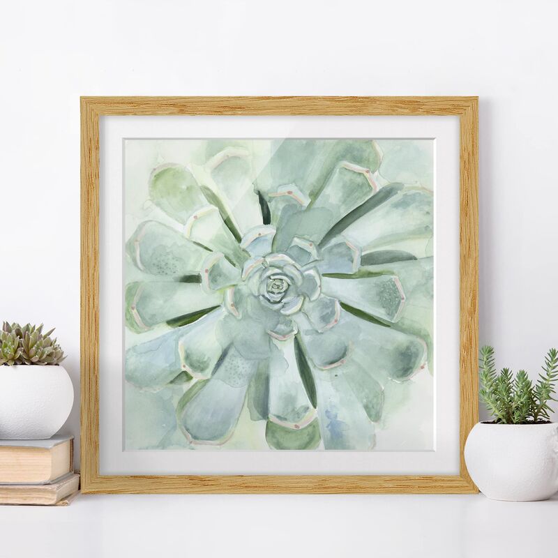 Póster enmarcado - Succulent Watercolor Bright Dimensión LxA: 50cm x 50cm, Marco: Roble
Póster enmarcado - Succulent Watercolor Bright Dimensión LxA: 50cm x 50cm, Marco: Roble