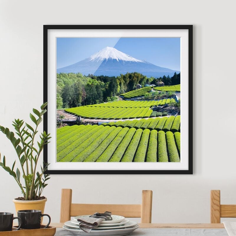 Póster enmarcado - Tea Fields In Front Of The Fuji Dimensión LxA: 20cm x 20cm, Marco: Negro
Póster enmarcado - Tea Fields In Front Of The Fuji Dimensión LxA: 20cm x 20cm, Marco: Negro