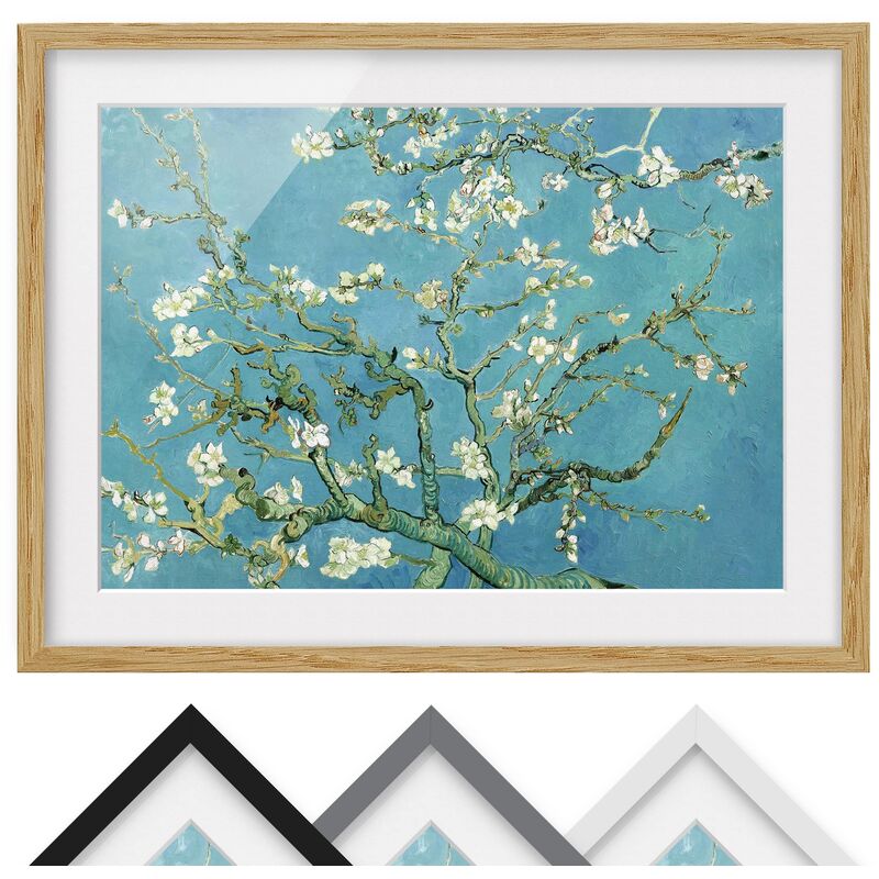 Póster enmarcado - Vincent Van Gogh - Almond Blossom Dimensión LxA: 40cm x 55cm, Marco: Roble
Póster enmarcado - Vincent Van Gogh - Almond Blossom Dimensión LxA: 40cm x 55cm, Marco: Roble