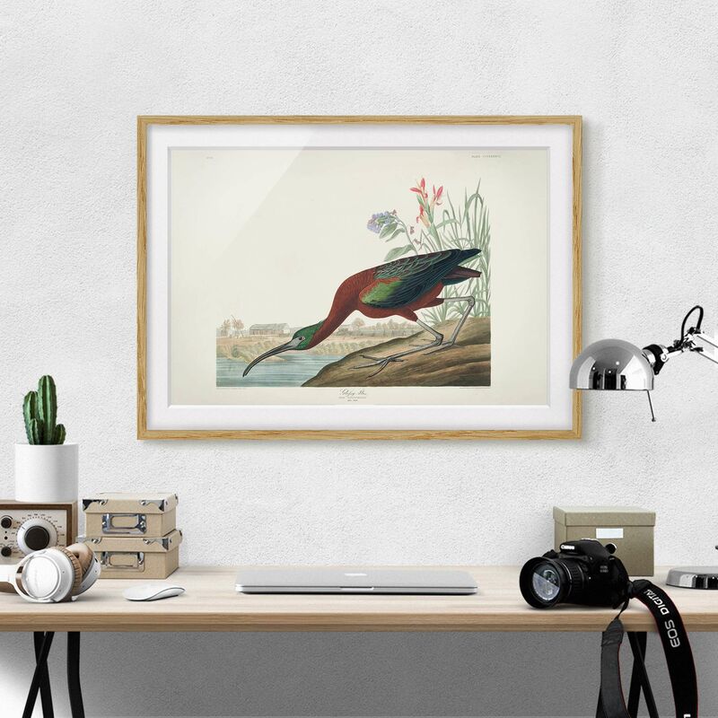 Póster enmarcado - Vintage Consiglio Brauner Ibis Dimensión LxA: 40cm x 55cm, Marco: Roble
Póster enmarcado - Vintage Consiglio Brauner Ibis Dimensión LxA: 40cm x 55cm, Marco: Roble