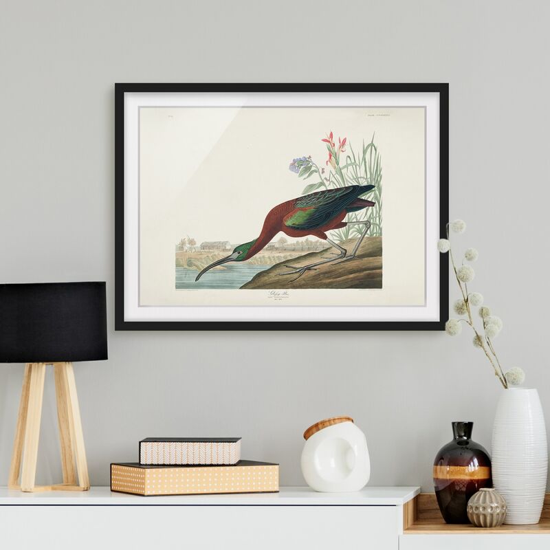 Póster enmarcado - Vintage Consiglio Brauner Ibis Dimensión LxA: 70cm x 100cm, Marco: Negro
Póster enmarcado - Vintage Consiglio Brauner Ibis Dimensión LxA: 70cm x 100cm, Marco: Negro