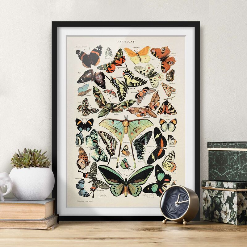 Póster enmarcado - Vintage Consiglio farfalle e falene Dimensión LxA: 100cm x 70cm, Marco: Negro
Póster enmarcado - Vintage Consiglio farfalle e falene Dimensión LxA: 100cm x 70cm, Marco: Negro