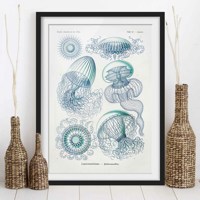 Póster enmarcado - Consiglio Vintage Meduse In Blue Dimensión LxA: 40cm x 30cm, Marco: Negro
Póster enmarcado - Consiglio Vintage Meduse In Blue Dimensión LxA: 40cm x 30cm, Marco: Negro