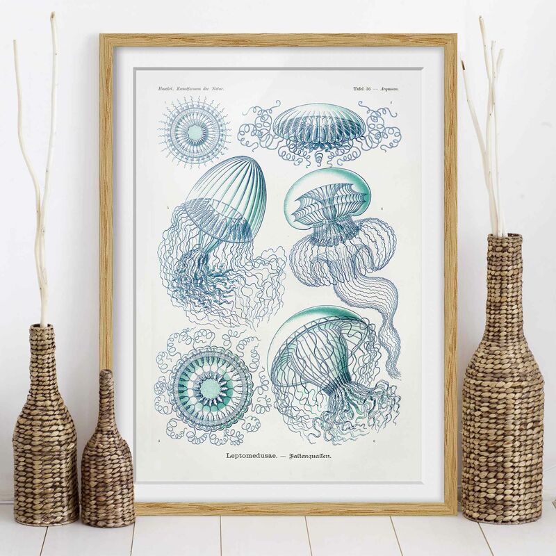 Póster enmarcado - Consiglio Vintage Meduse In Blue Dimensión LxA: 24cm x 18cm, Marco: Roble
Póster enmarcado - Consiglio Vintage Meduse In Blue Dimensión LxA: 24cm x 18cm, Marco: Roble