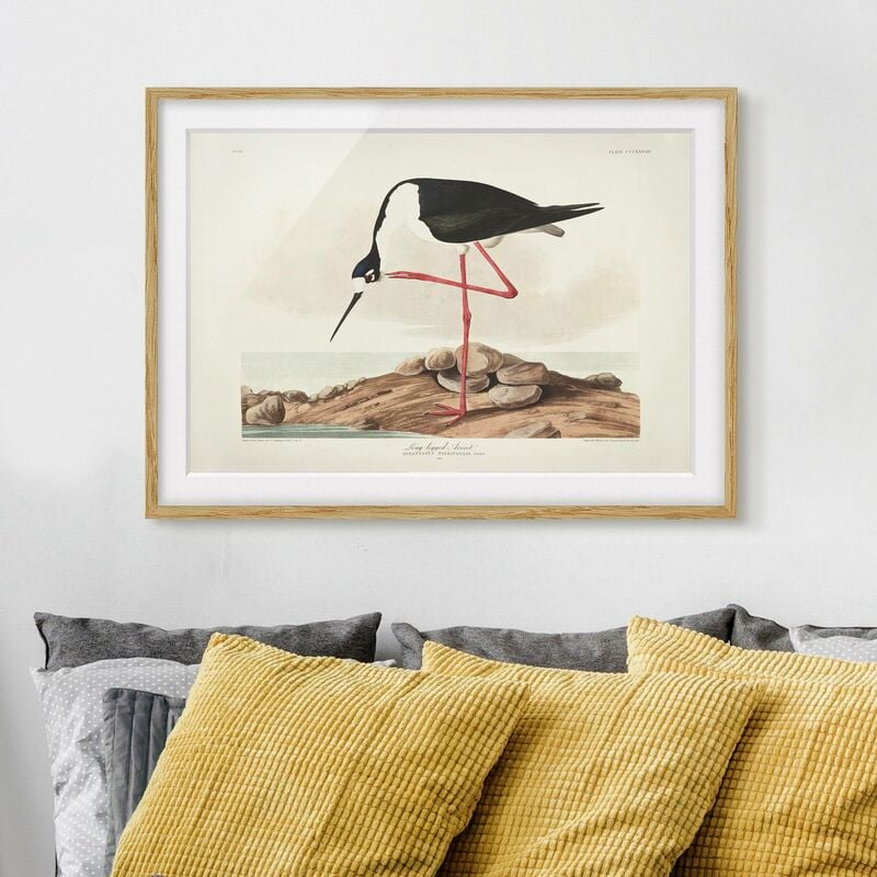 Póster enmarcado - Vintage Consiglio Leggy Avocetta Dimensión LxA: 40cm x 55cm, Marco: Roble
Póster enmarcado - Vintage Consiglio Leggy Avocetta Dimensión LxA: 40cm x 55cm, Marco: Roble