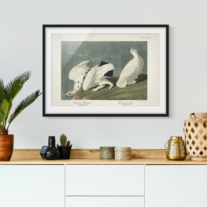 Póster enmarcado - Vintage Consiglio Moorschneehuhn Dimensión LxA: 30cm x 40cm, Marco: Negro
Póster enmarcado - Vintage Consiglio Moorschneehuhn Dimensión LxA: 30cm x 40cm, Marco: Negro