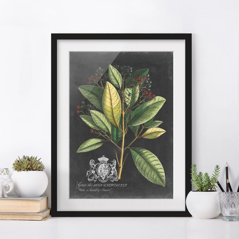Póster enmarcado - Vintage Royales foglie su fondo nero IV Dimensión LxA: 24cm x 18cm, Marco: Negro
Póster enmarcado - Vintage Royales foglie su fondo nero IV Dimensión LxA: 24cm x 18cm, Marco: Negro