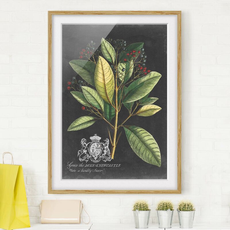 Póster enmarcado - Vintage Royales foglie su fondo nero IV Dimensión LxA: 24cm x 18cm, Marco: Roble
Póster enmarcado - Vintage Royales foglie su fondo nero IV Dimensión LxA: 24cm x 18cm, Marco: Roble