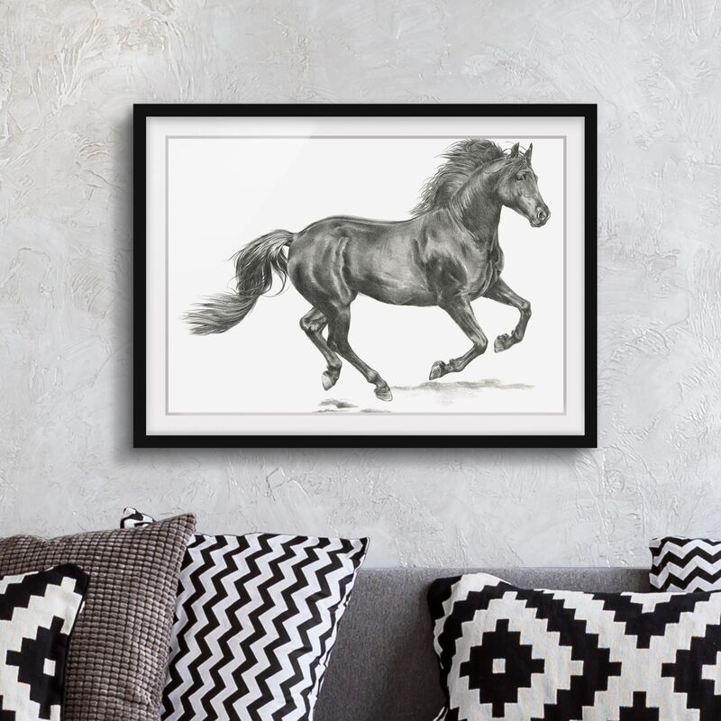 Póster enmarcado - Wild Horse Trial - Stallion Dimensión LxA: 30cm x 40cm, Marco: Negro
Póster enmarcado - Wild Horse Trial - Stallion Dimensión LxA: 30cm x 40cm, Marco: Negro