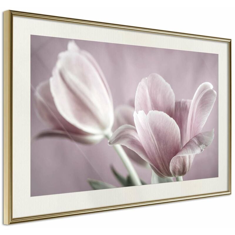 Póster - Pastel Tulips I Medidas 90X60