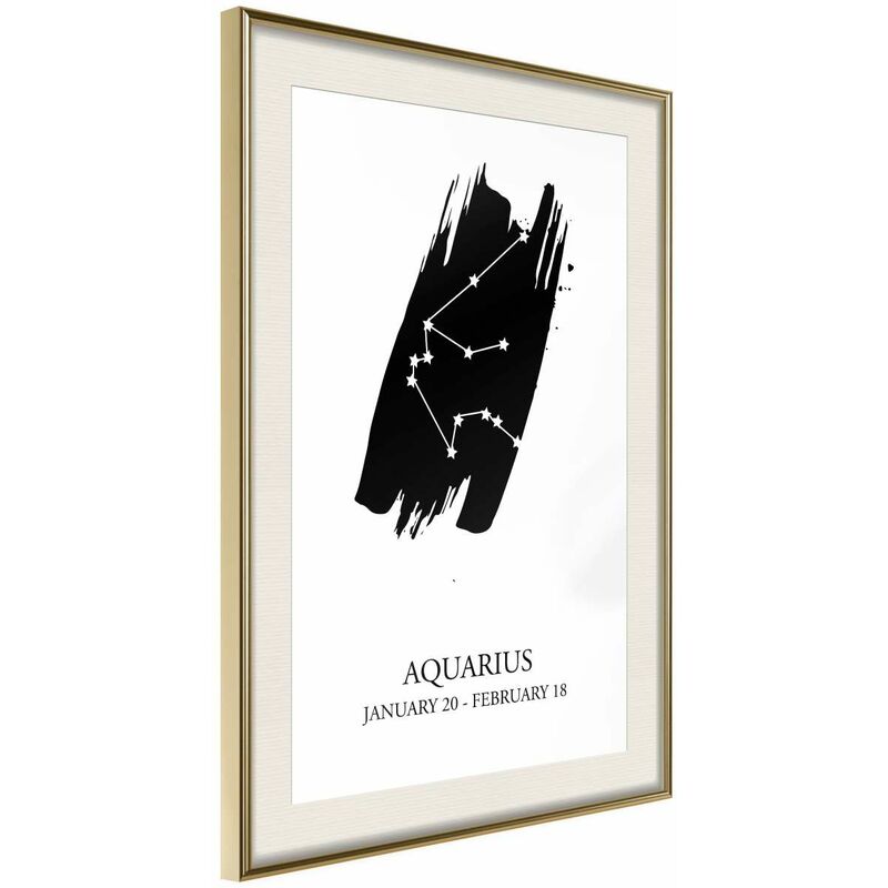 Póster - Zodiac: Aquarius I Medidas 20X30