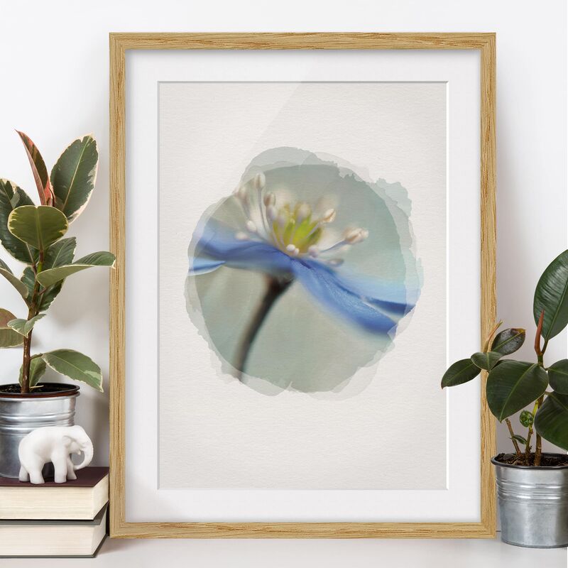 Póster enmarcado - Acquarelli - Anemoni Danza Dimensión LxA: 24cm x 18cm, Marco: Roble
Póster enmarcado - Acquarelli - Anemoni Danza Dimensión LxA: 24cm x 18cm, Marco: Roble