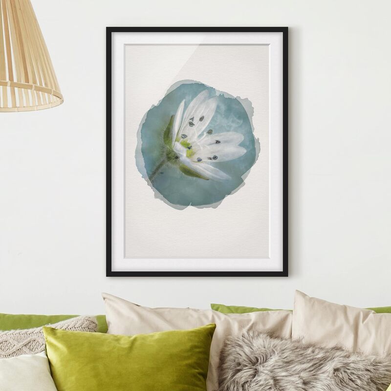 Póster enmarcado - Acquarelli - fiore bianco su blu Dimensión LxA: 24cm x 18cm, Marco: Negro 
Póster enmarcado - Acquarelli - fiore bianco su blu Dimensión LxA: 24cm x 18cm, Marco: Negro