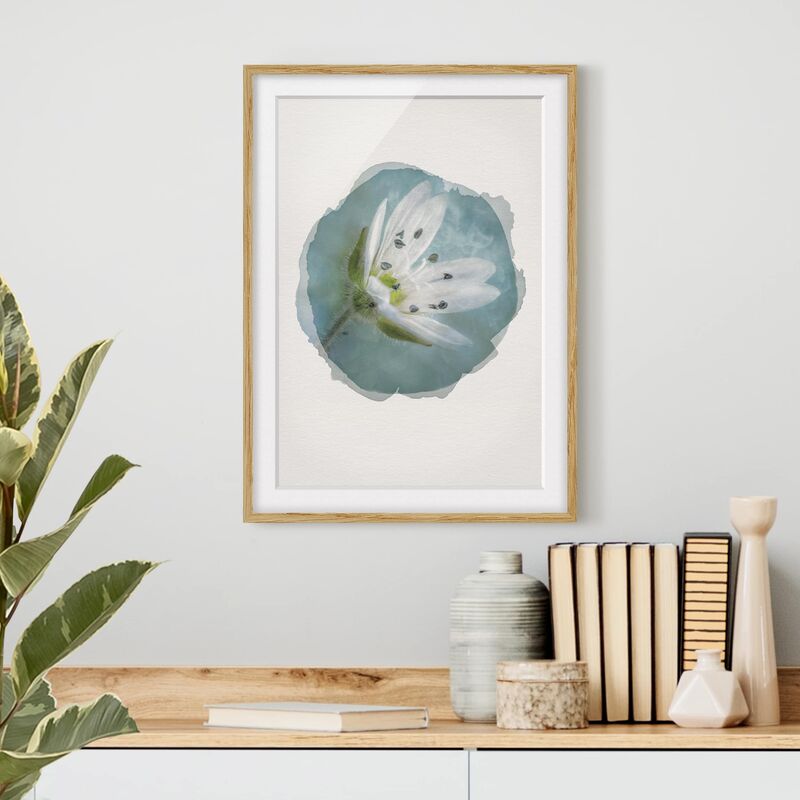 Póster enmarcado - Acquarelli - fiore bianco su blu Dimensión LxA: 100cm x 70cm, Marco: Roble
Póster enmarcado - Acquarelli - fiore bianco su blu Dimensión LxA: 100cm x 70cm, Marco: Roble