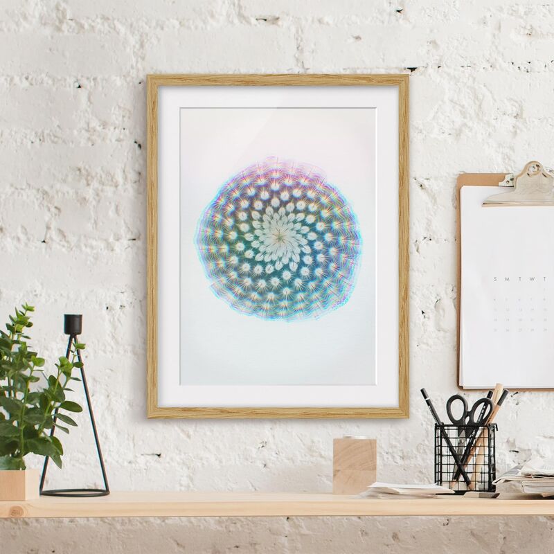 Póster enmarcado - Acquarelli - Fiore di cactus Dimensión LxA: 40cm x 30cm, Marco: Roble
Póster enmarcado - Acquarelli - Fiore di cactus Dimensión LxA: 40cm x 30cm, Marco: Roble
