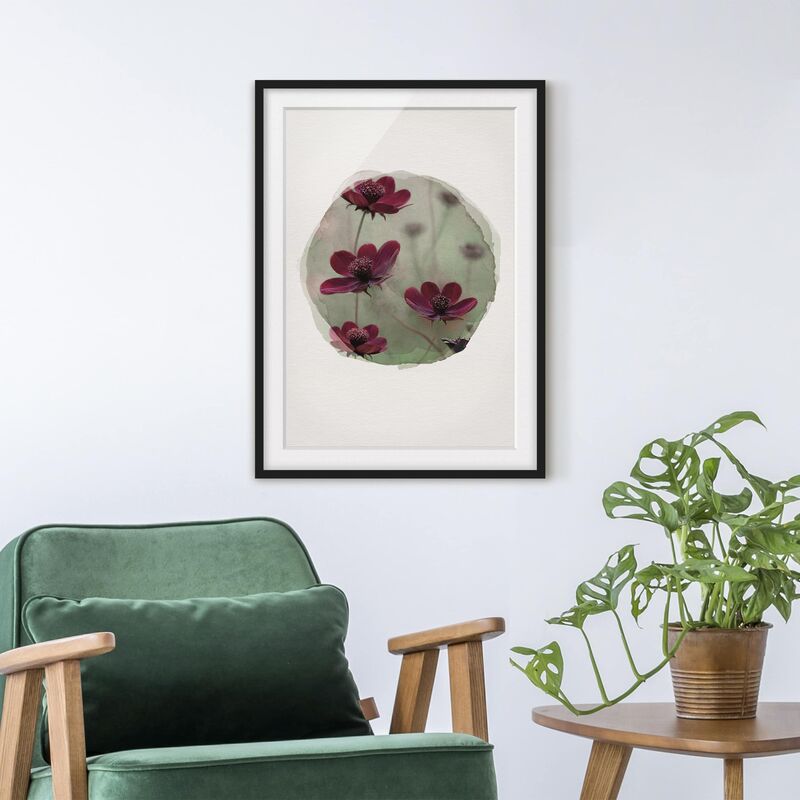 Póster enmarcado - Acquarelli - Rosa Kosmeen Dimensión LxA: 100cm x 70cm, Marco: Negro
Póster enmarcado - Acquarelli - Rosa Kosmeen Dimensión LxA: 100cm x 70cm, Marco: Negro