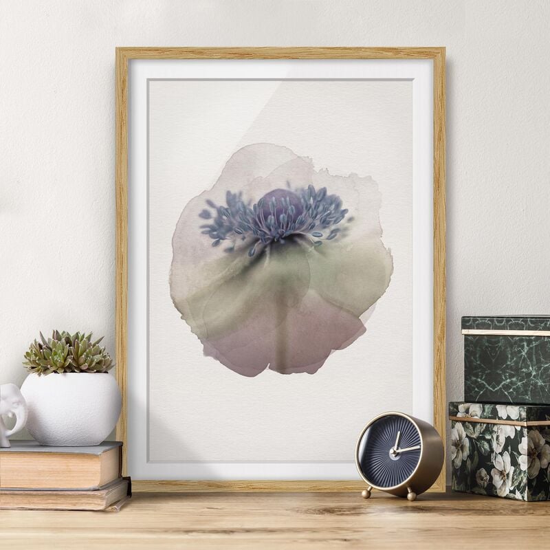 Póster enmarcado - Acquerelli - Anemone Nella Viola Dimensión LxA: 100cm x 70cm, Marco: Roble
Póster enmarcado - Acquerelli - Anemone Nella Viola Dimensión LxA: 100cm x 70cm, Marco: Roble