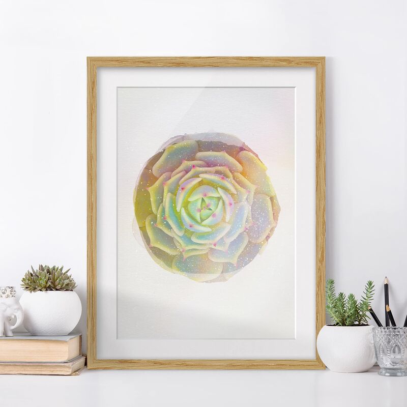 Póster enmarcado - Acquerelli - Pianta Grassa - Echeveria Ben Badis Dimensión LxA: 40cm x 30cm, Marco: Roble
Póster enmarcado - Acquerelli - Pianta Grassa - Echeveria Ben Badis Dimensión LxA: 40cm x 30cm, Marco: Roble