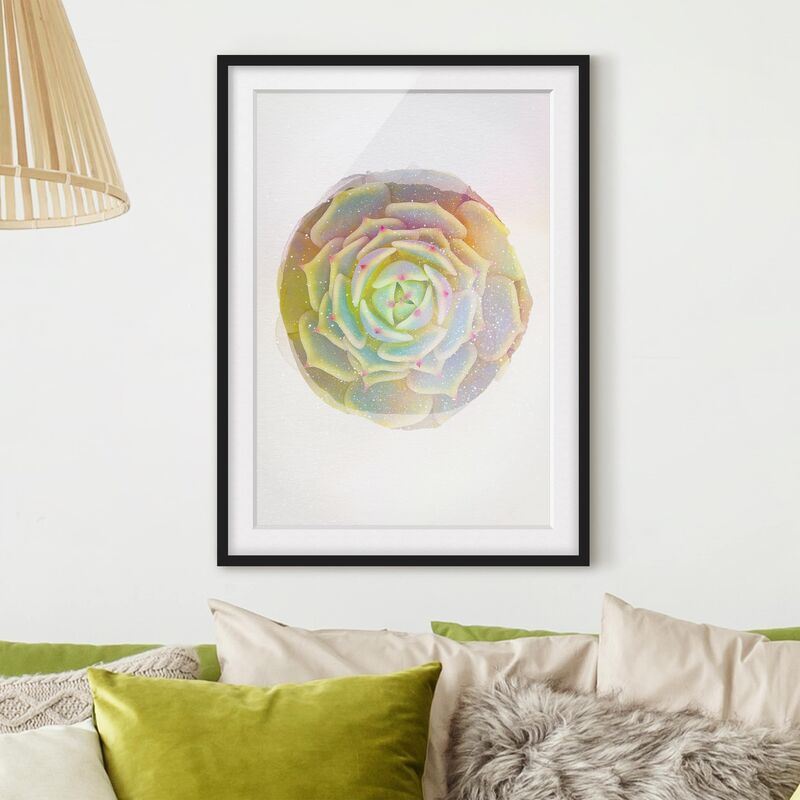 Póster enmarcado - Acquerelli - Pianta Grassa - Echeveria Ben Badis Dimensión LxA: 100cm x 70cm, Marco: Negro
Póster enmarcado - Acquerelli - Pianta Grassa - Echeveria Ben Badis Dimensión LxA: 100cm x 70cm, Marco: Negro