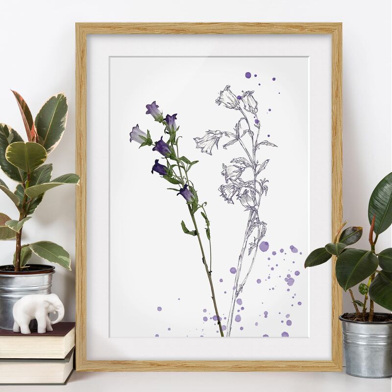 Póster enmarcado - Acquerello Botanico - Bellflower Dimensión LxA: 70cm x 50cm, Marco: Roble
Póster enmarcado - Acquerello Botanico - Bellflower Dimensión LxA: 70cm x 50cm, Marco: Roble