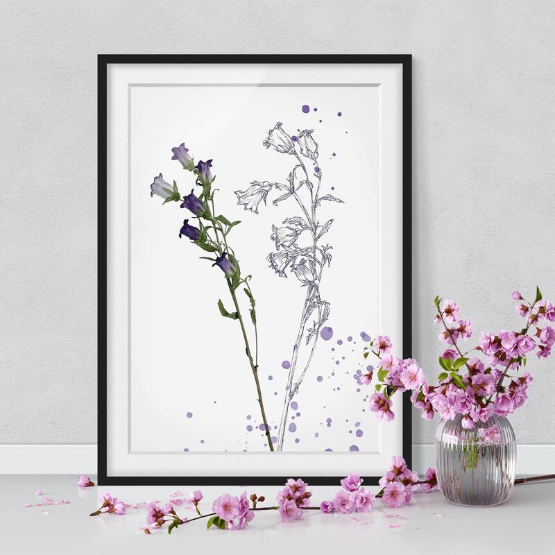 Póster enmarcado - Acquerello Botanico - Bellflower Dimensión LxA: 24cm x 18cm, Marco: Negro
Póster enmarcado - Acquerello Botanico - Bellflower Dimensión LxA: 24cm x 18cm, Marco: Negro