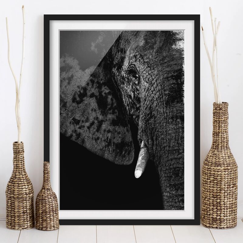 Póster enmarcado - African Elephant Black And White Dimensión LxA: 24cm x 18cm, Marco: Negro
Póster enmarcado - African Elephant Black And White Dimensión LxA: 24cm x 18cm, Marco: Negro