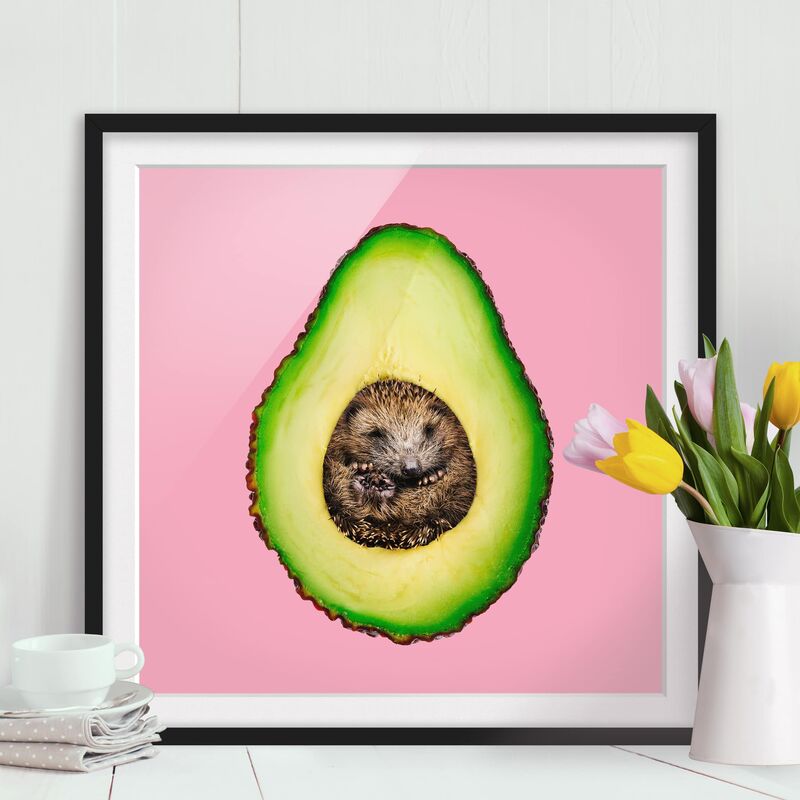 Póster enmarcado - Avocado Con Hedgehog Dimensión LxA: 70cm x 70cm, Marco: Negro
Póster enmarcado - Avocado Con Hedgehog Dimensión LxA: 70cm x 70cm, Marco: Negro