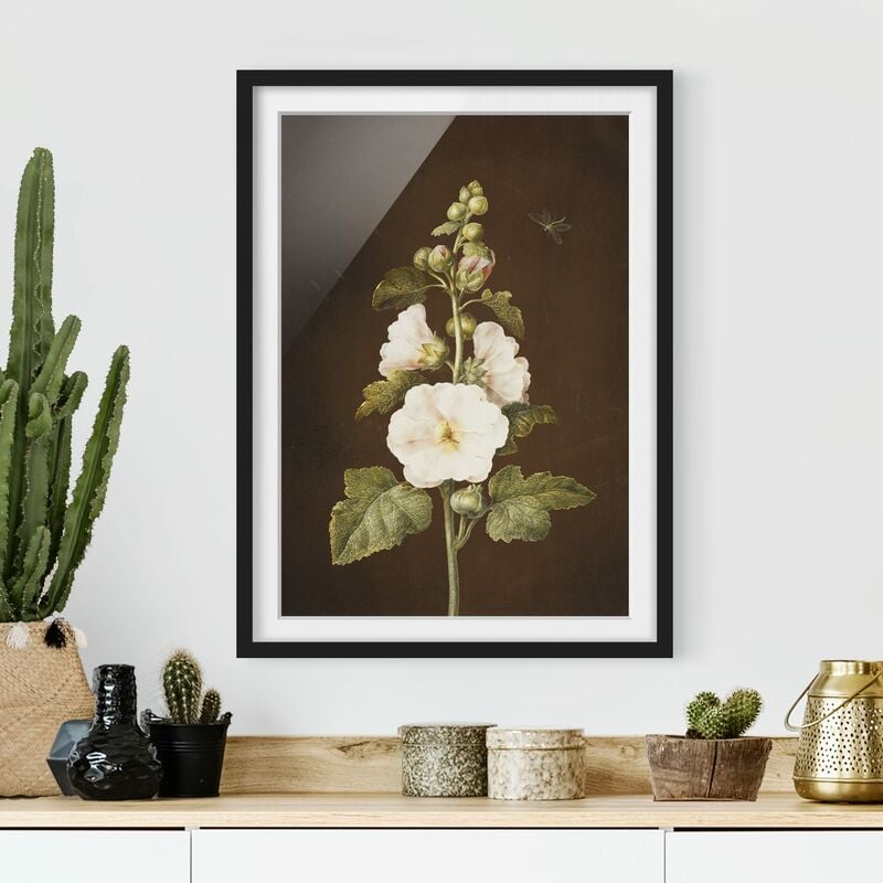 Póster enmarcado - Barbara Regina Dietzsch - Hollyhock Dimensión LxA: 100cm x 70cm, Marco: Negro
Póster enmarcado - Barbara Regina Dietzsch - Hollyhock Dimensión LxA: 100cm x 70cm, Marco: Negro