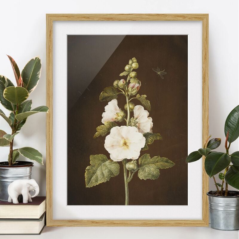 Póster enmarcado - Barbara Regina Dietzsch - Hollyhock Dimensión LxA: 24cm x 18cm, Marco: Roble
Póster enmarcado - Barbara Regina Dietzsch - Hollyhock Dimensión LxA: 24cm x 18cm, Marco: Roble