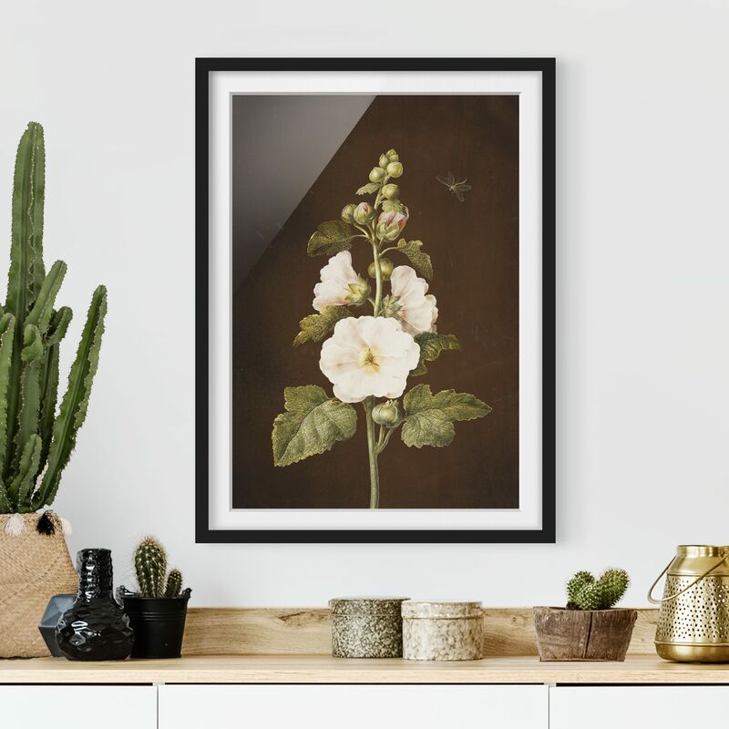 Póster enmarcado - Barbara Regina Dietzsch - Hollyhock Dimensión LxA: 40cm x 30cm, Marco: Negro
Póster enmarcado - Barbara Regina Dietzsch - Hollyhock Dimensión LxA: 40cm x 30cm, Marco: Negro