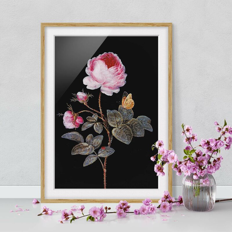 Póster enmarcado - Barbara Regina Dietzsch - The Hundred-Rose Dimensión LxA: 40cm x 30cm, Marco: Roble
Póster enmarcado - Barbara Regina Dietzsch - The Hundred-Rose Dimensión LxA: 40cm x 30cm, Marco: Roble