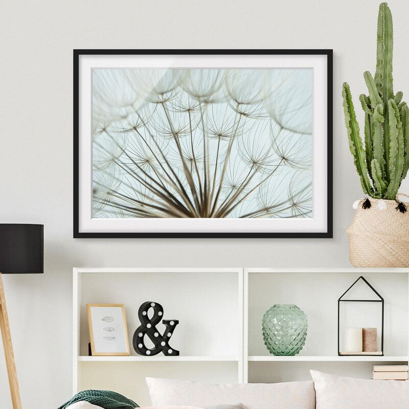 Póster enmarcado - Beautiful Dandelion Macro Shot Dimensión LxA: 50cm x 70cm, Marco: Negro
Póster enmarcado - Beautiful Dandelion Macro Shot Dimensión LxA: 50cm x 70cm, Marco: Negro