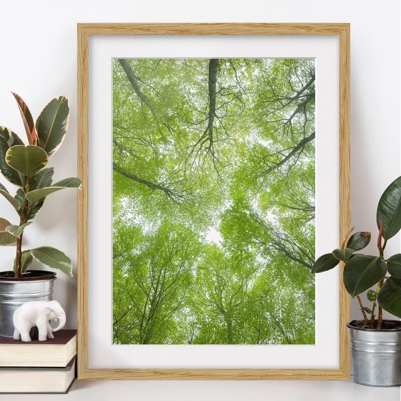 Póster enmarcado - Beech Forest On Lindkogel Dimensión LxA: 24cm x 18cm, Marco: Roble
Póster enmarcado - Beech Forest On Lindkogel Dimensión LxA: 24cm x 18cm, Marco: Roble