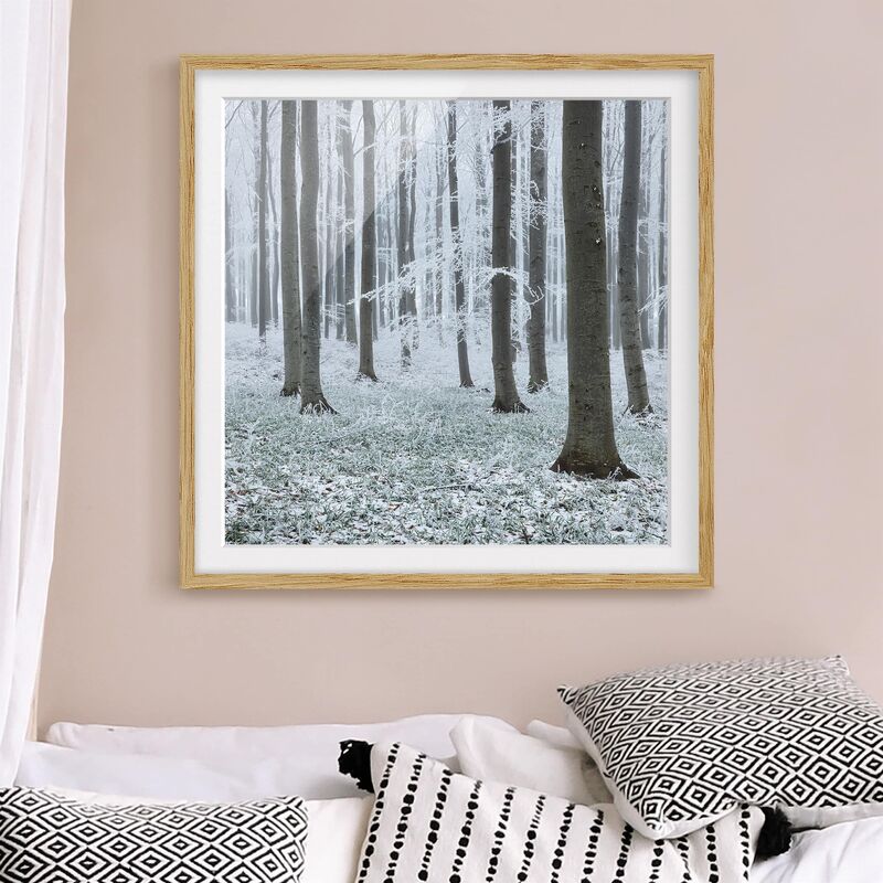 Póster enmarcado - Beeches With Hoarfrost Dimensión LxA: 70cm x 70cm, Marco: Roble
Póster enmarcado - Beeches With Hoarfrost Dimensión LxA: 70cm x 70cm, Marco: Roble