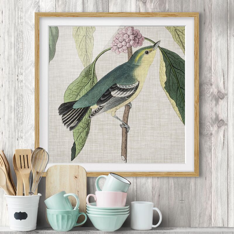 Póster enmarcado - Bird On Linen Pink I Dimensión LxA: 30cm x 30cm, Marco: Roble
Póster enmarcado - Bird On Linen Pink I Dimensión LxA: 30cm x 30cm, Marco: Roble