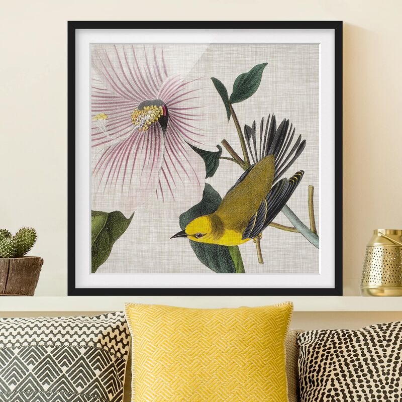 Póster enmarcado - Bird On Linen Yellow I Dimensión LxA: 50cm x 50cm, Marco: Negro
Póster enmarcado - Bird On Linen Yellow I Dimensión LxA: 50cm x 50cm, Marco: Negro